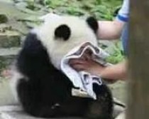 以救救单身狗游戏第五关攻略