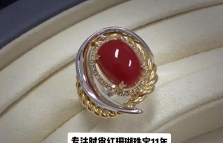 珊瑚宝石出装攻略（探索珊瑚宝石在不同英雄身上的用途及最佳搭配）