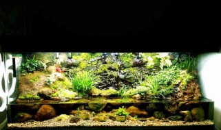 新区50级水路副本攻略（挑战新领域，征服水路迷宫）