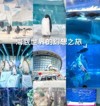 探索真实的海底世界游戏攻略（海底世界游戏攻略详解，畅游深海的秘密）