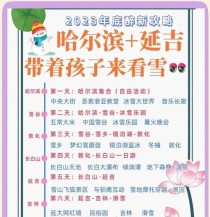 《雪奇缘大冒险游戏攻略（为你解析《雪奇缘大冒险》的关卡攻略、技巧和隐藏任务）