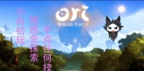 奥日升级技能攻略（掌握关键技巧，轻松提升实力！）