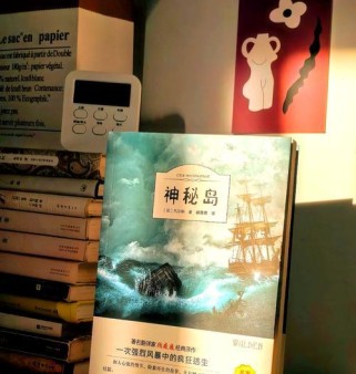 《电子游戏荒岛求生攻略》（全面指南帮助您在荒岛上生存）