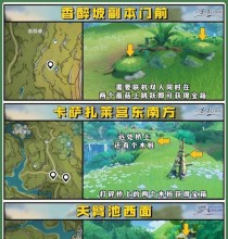 原神须弥boss任务攻略（寻找真相，征服绝地，打破次元壁）