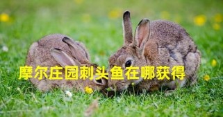 《摩尔庄园手游龙虾获得攻略》（轻松获取美味龙虾的窍门与技巧）