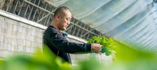 《天秤游戏攻略大揭秘！》（揭秘天秤游戏的攻略技巧，助你成为游戏大师！）