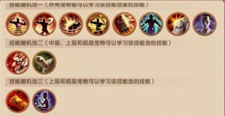 寻仙手游攻略（探索技能搭配的奥秘，提升寻仙之旅的实力与乐趣）