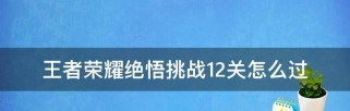 智极绝悟十三关攻略（《王者荣耀》中如何顺利过关）