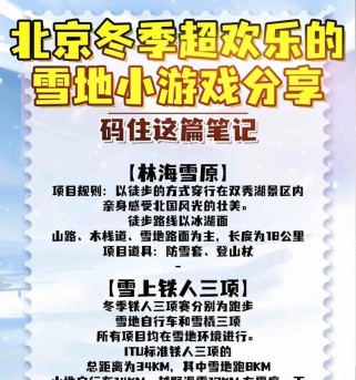 探秘古老的雪地游戏攻略（重拾乐趣与童真，体验雪地游戏的魅力）