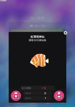 《养神仙鱼攻略大全》（揭秘神仙鱼的养殖技巧和养护方法）