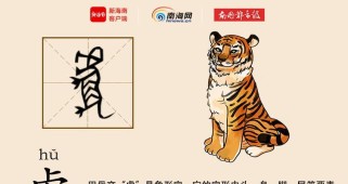 老虎出装铭文入门攻略视频（打造顶级装备，让老虎威力更强大！）