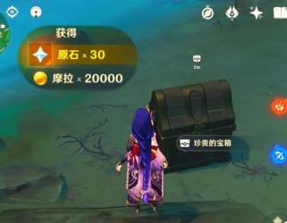珍贵宝箱攻略（揭秘原神中珍贵宝箱的位置和获取方法，带你获得更多宝贵资源！）