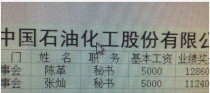 月薪3万的技能加点攻略（掌握关键技能，实现高薪就业）