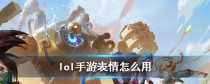 《LOL手游》游戏台服中文设置教程（如何将LOL手游台服中文设置为主题）