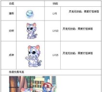 大话游戏2宠物技能攻略（掌握宠物技能提升战斗力，让你在大话游戏2中无敌闪耀！）