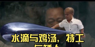 《高级特工鸡汤游戏攻略大揭秘》（打造最强特工鸡汤游戏攻略全解析）